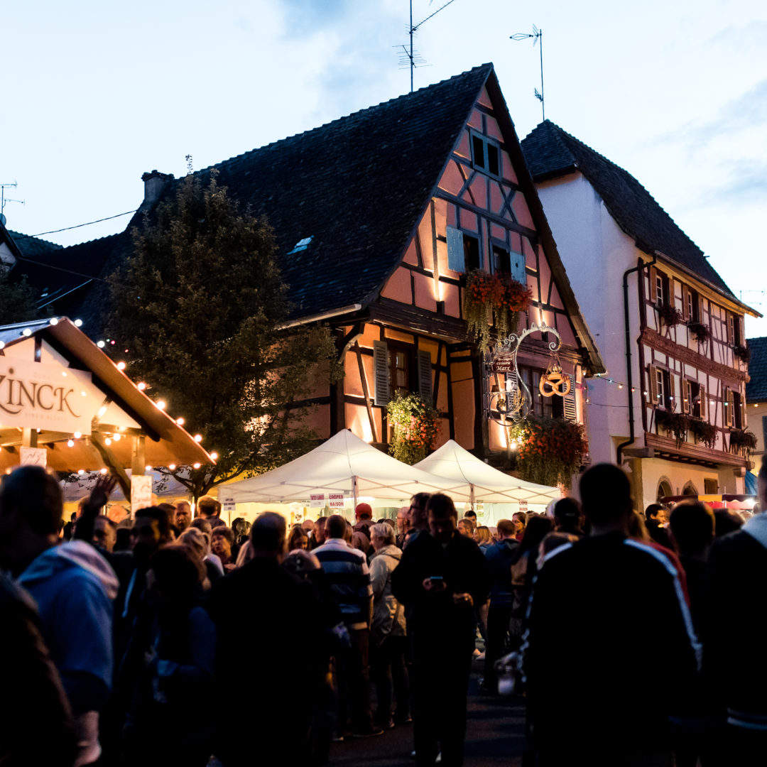 Vignoble D Alsace Iter Vitis